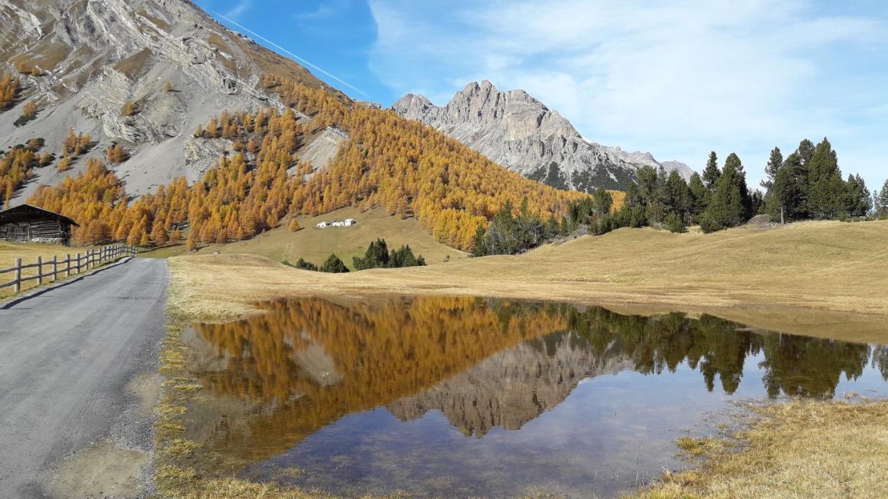 Appartamenti Baita Soliva Oga Exterior foto